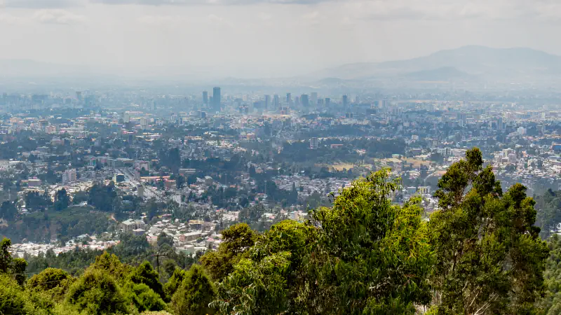 View over Addis Ababa from the slopes of Mount Entoto, with trees in the foreground and the city’s towers hazy in the distance