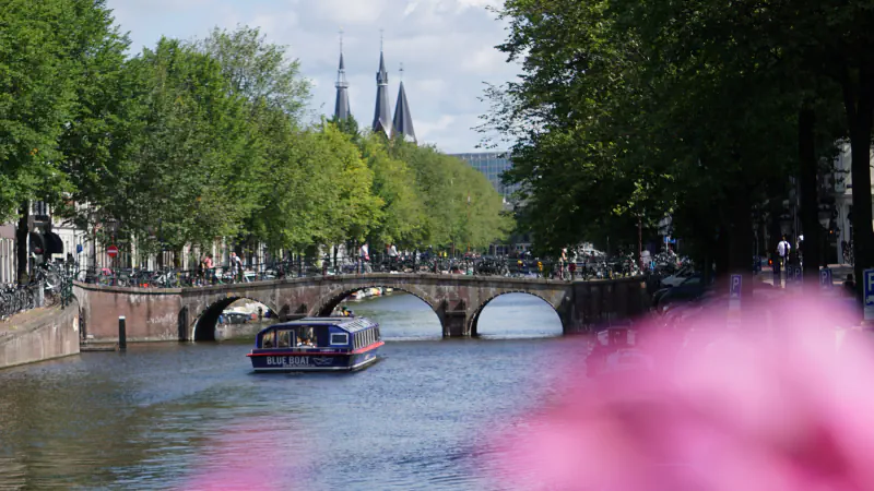 A tree-lined Amsterdam canal with a stone arched bridge, a passenger boat and church spires in the distance, partly blurred by pink flowers in the foreground
