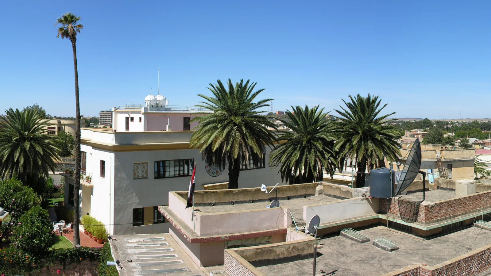 Palm trees and rooftops in Asmara under a blue sky