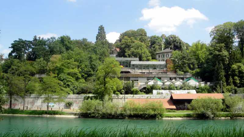 Bern Botanical Garden greenhouses, trees and buildings above the River Aare