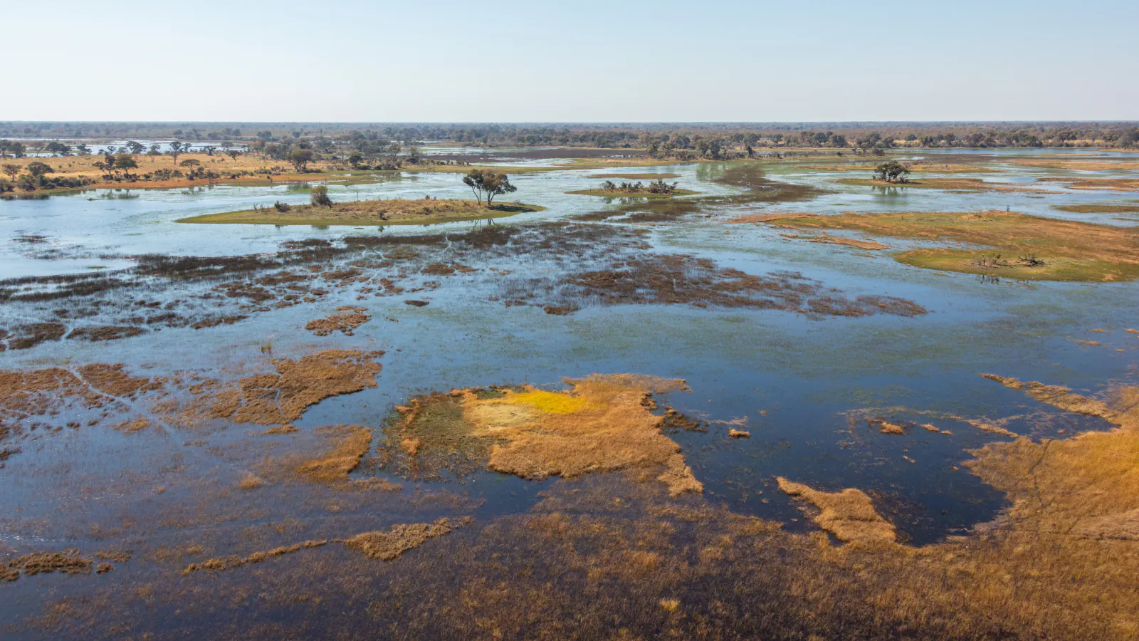 Okavango Delta seen from above, with broad water channels around low grassy islands, scattered trees and a distant tree line beneath a pale sky