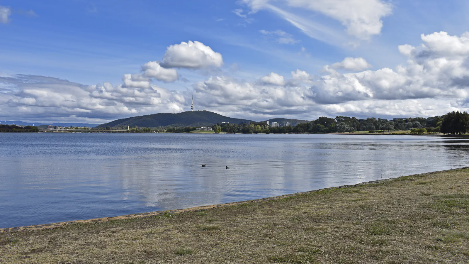Lake Burley Griffin, grassy shore and a hill with a tower under a cloudy sky