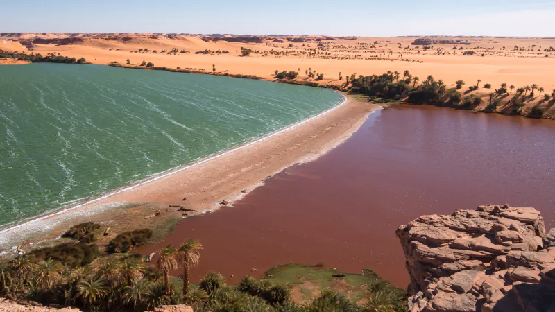 Two adjoining lakes, one green-blue and the other reddish-brown, separated by a narrow sandy strip; palms line the near shore and orange dunes extend behind them.