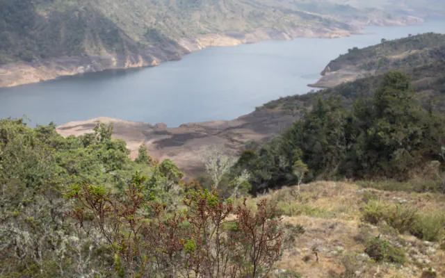 A long reservoir with pale, bare shores between forested Andean slopes, seen from a hillside with low shrubs and reddish-brown twigs in the foreground