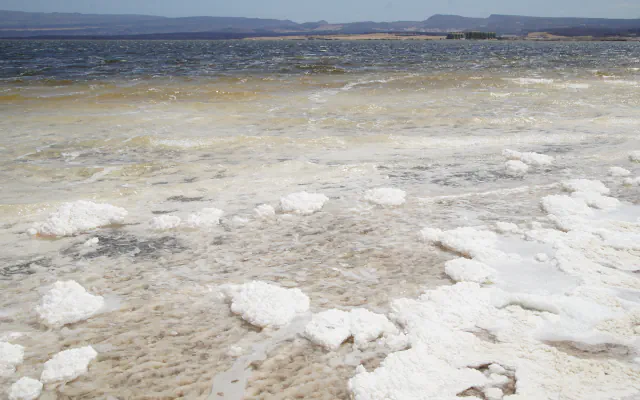 Shore of Lake Asal: clumps of white salt crust lie in shallow, wind-ruffled water, with a low line of dark hills and the sky in the distance