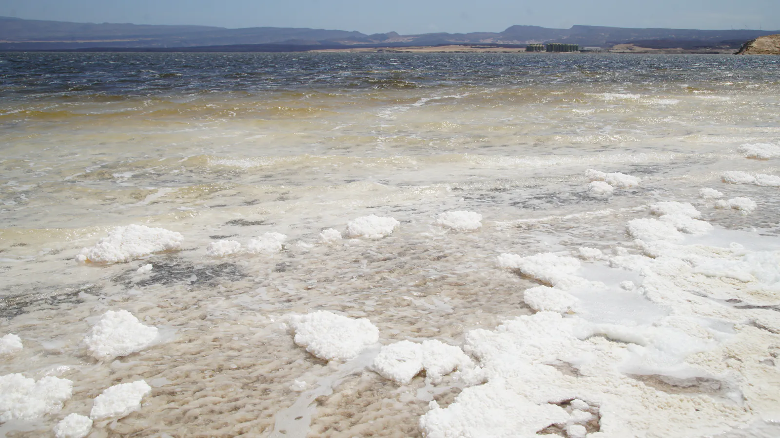 Shore of Lake Asal: clumps of white salt crust lie in shallow, wind-ruffled water, with a low line of dark hills and the sky in the distance