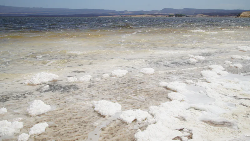 Shore of Lake Asal: clumps of white salt crust lie in shallow, wind-ruffled water, with a low line of dark hills and the sky in the distance