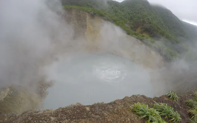 Steam rising from the pale, bubbling surface of Boiling Lake inside a steep crater, with forested slopes above and rocky ground with clumps of green plants with long narrow leaves in the foreground