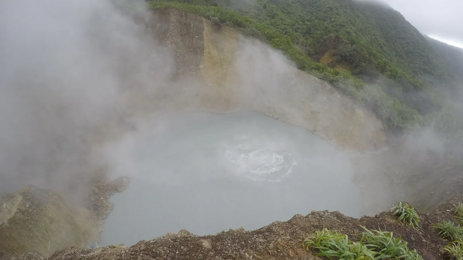 Steam rising from the pale, bubbling surface of Boiling Lake inside a steep crater, with forested slopes above and rocky ground with clumps of green plants with long narrow leaves in the foreground