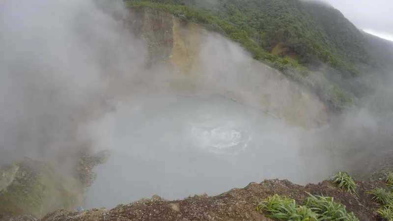 Steam rising from the pale, bubbling surface of Boiling Lake inside a steep crater, with forested slopes above and rocky ground with clumps of green plants with long narrow leaves in the foreground