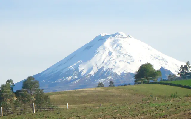 The snow-covered cone of Cotopaxi rising above green pastures, with a wire fence and a few trees in the foreground