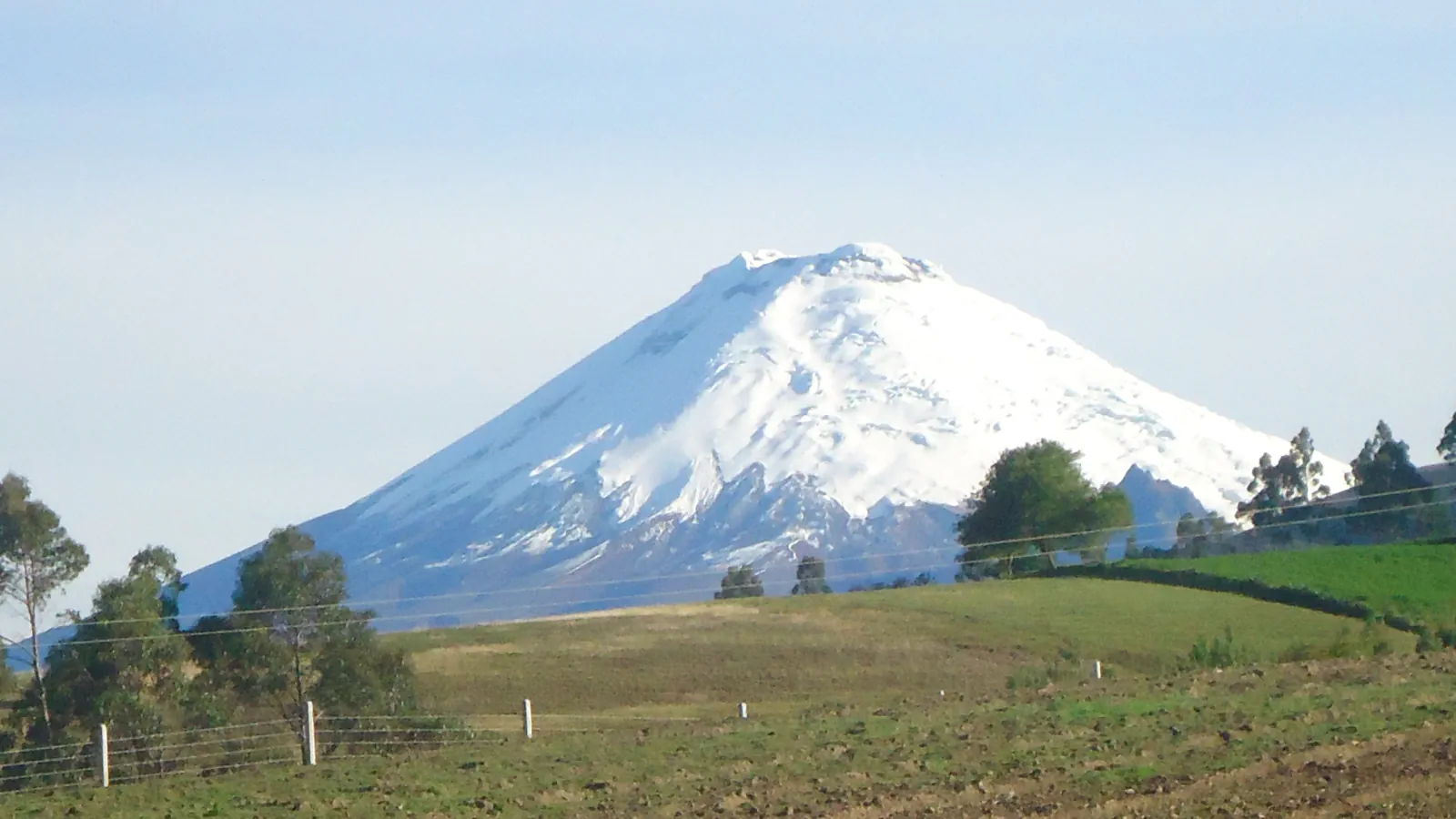 The snow-covered cone of Cotopaxi rising above green pastures, with a wire fence and a few trees in the foreground