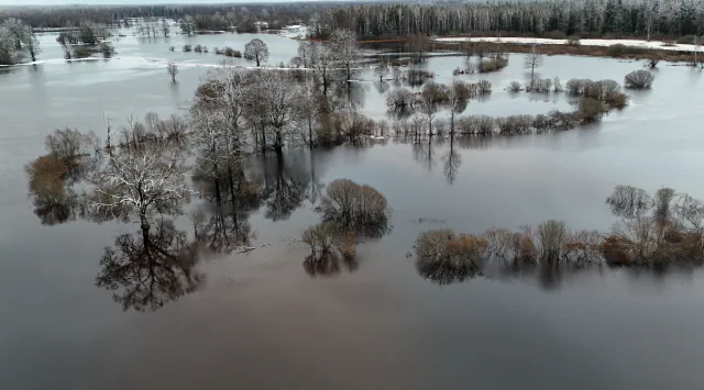 Aerial view of floodwater in Soomaa National Park, with bare trees and shrubs standing in still water and patches of snow at the far edge