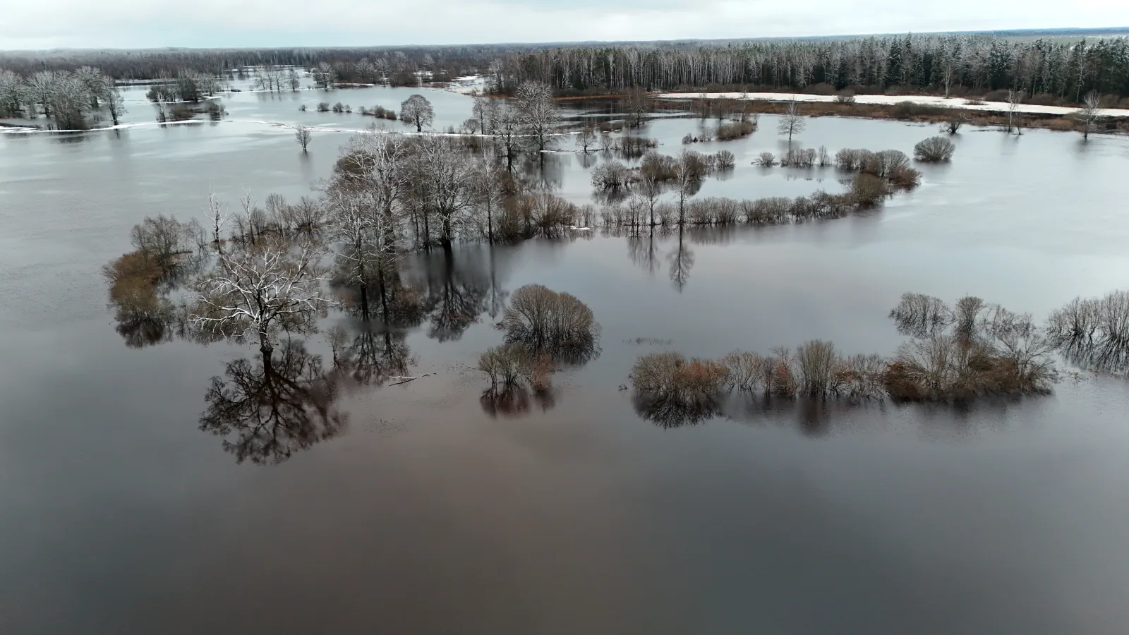 Aerial view of floodwater in Soomaa National Park, with bare trees and shrubs standing in still water and patches of snow at the far edge