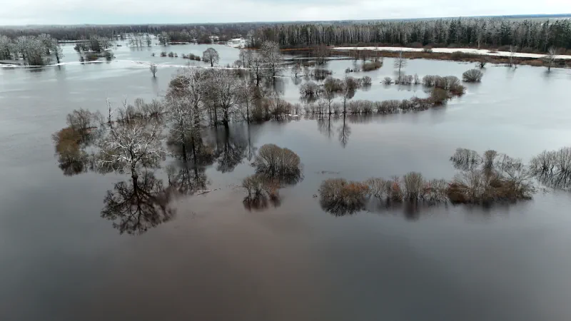 Aerial view of floodwater in Soomaa National Park, with bare trees and shrubs standing in still water and patches of snow at the far edge