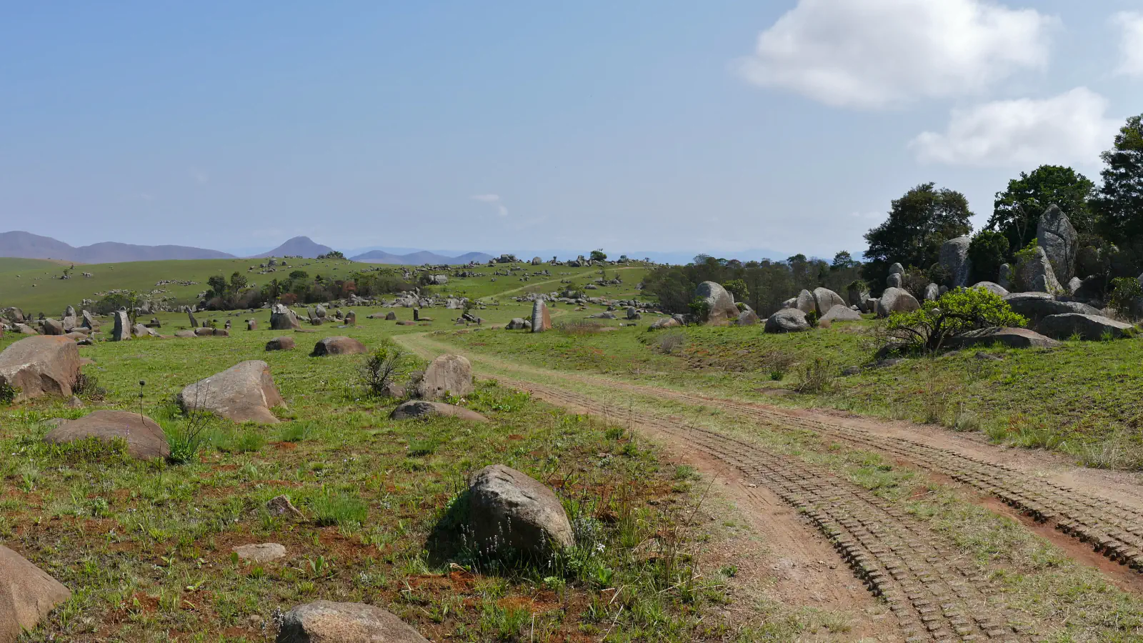 Rounded boulders are scattered across green grassland on both sides of a dirt track, with trees and a cluster of larger rocks on the right and low blue hills in the distance