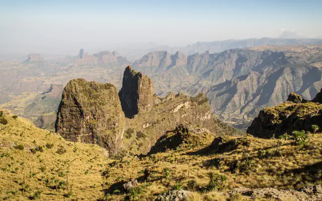 View from the highlands of Simien Mountains National Park: steep rock pillars and long ridges fall away into a hazy valley, with yellow-green grass and spiky plants in the foreground