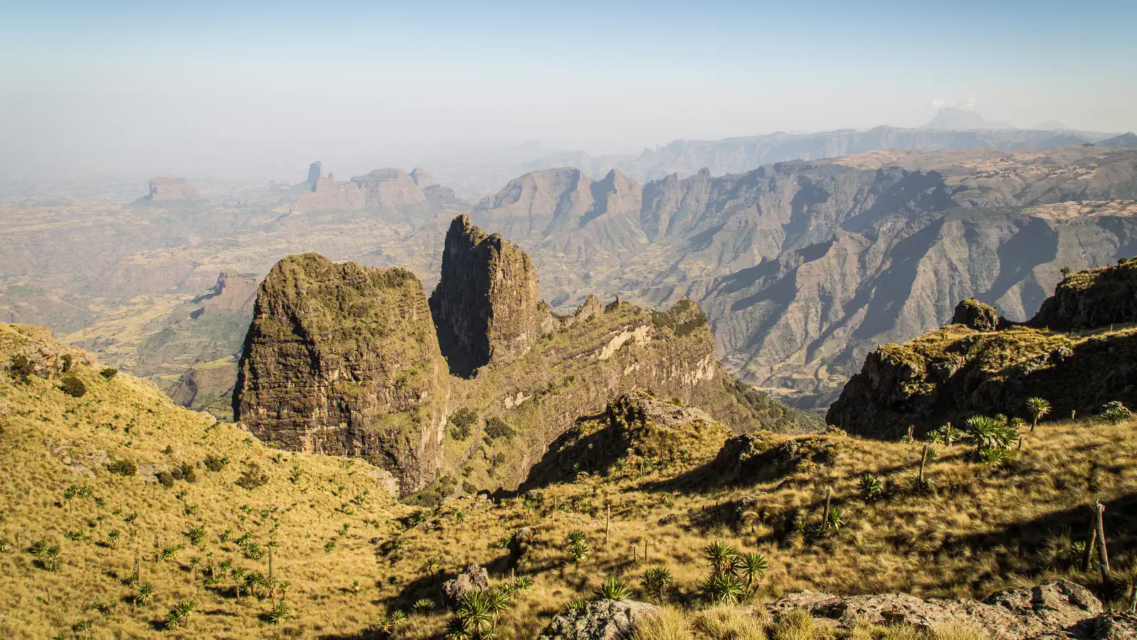View from the highlands of Simien Mountains National Park: steep rock pillars and long ridges fall away into a hazy valley, with yellow-green grass and spiky plants in the foreground