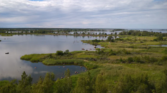 Low islands, vegetated shores and shallow water of the Kvarken Archipelago seen from an observation tower under a cloudy sky