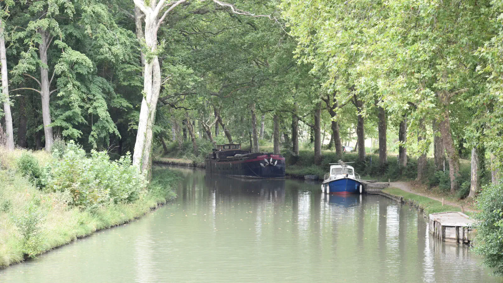 A tree-lined reach of the Canal du Midi with a dark barge and a blue-and-white boat moored by the bank, green water reflecting the trees