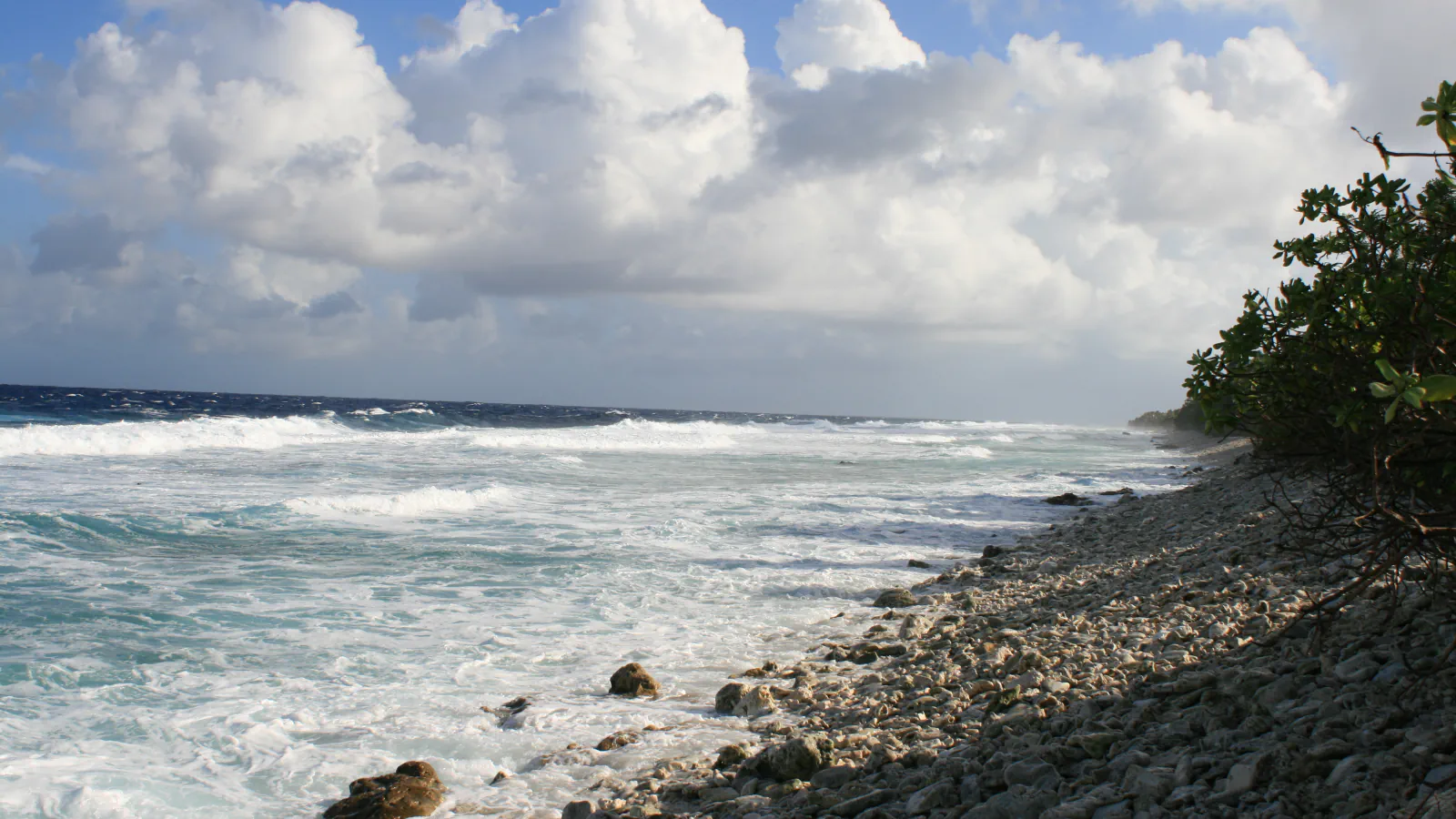 Waves breaking on the ocean side of Funafuti, with a shore of coral rubble and low shrubs on the right.