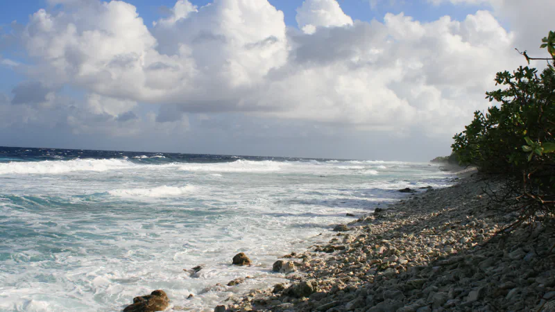 Waves breaking on the ocean side of Funafuti, with a shore of coral rubble and low shrubs on the right.