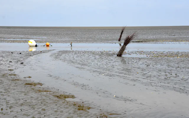 A shallow tidal channel across exposed mudflats at low water, with a white and an orange buoy and bundles of branches standing in the mud near Duhnen