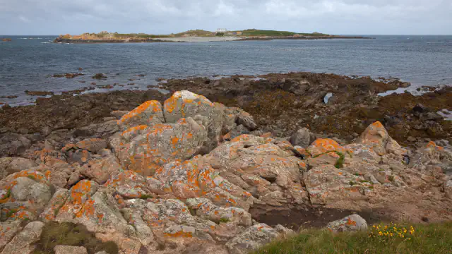 Rocks patched with orange and grey lichen on a seaweed-covered shore, with the low island of Lihou, its pale shingle beach and a white house across the water