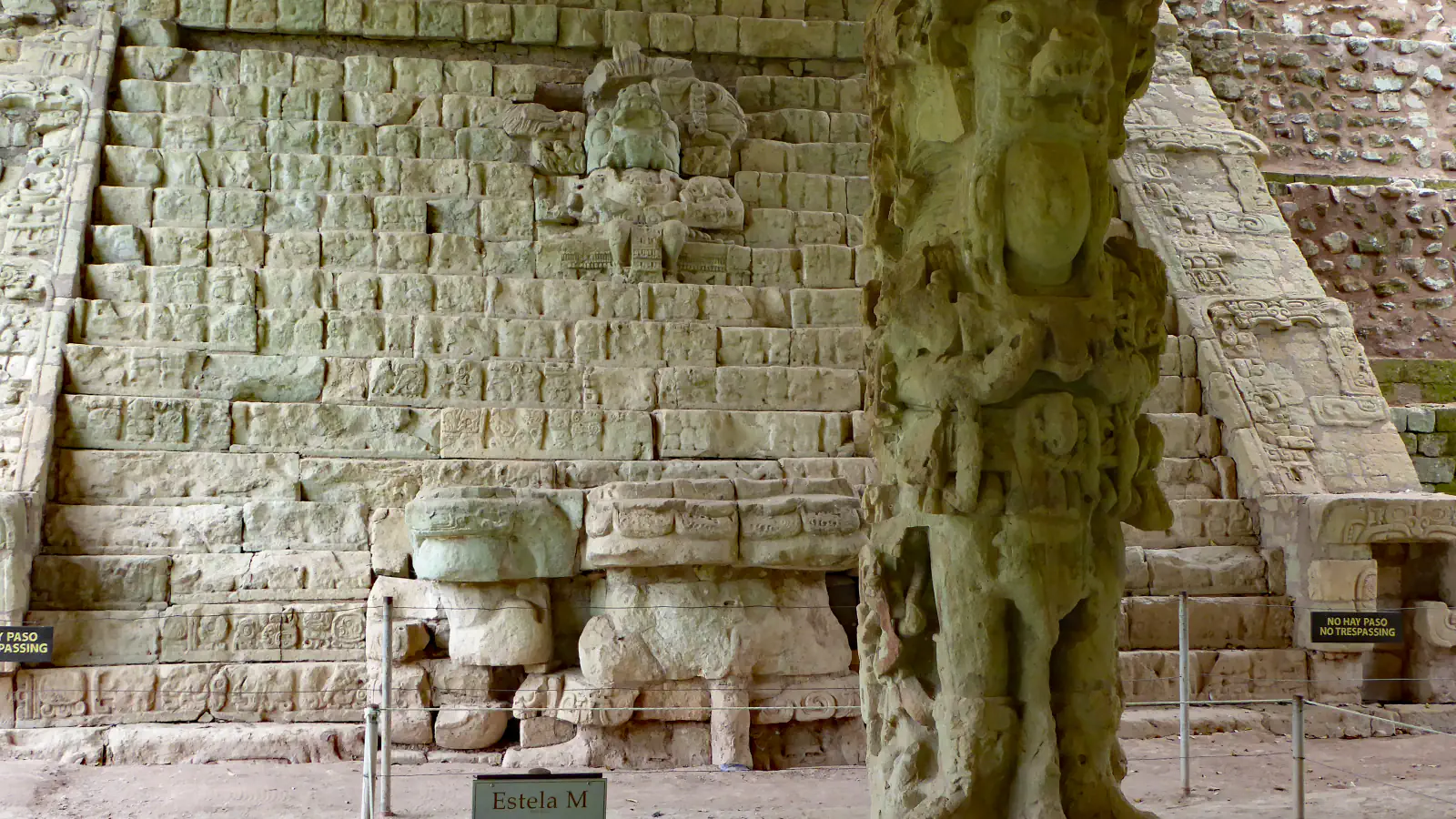 A tall flight of weathered stone steps with rows of carved glyph blocks, a large carved stone stela standing in front on the right and a rope barrier along the base