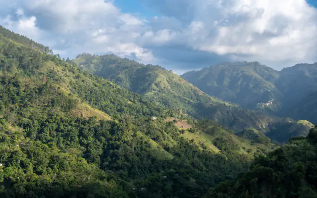 Green forested ridges of the Blue Mountains in eastern Jamaica, with a few small buildings on the slopes and white clouds over the distant peaks