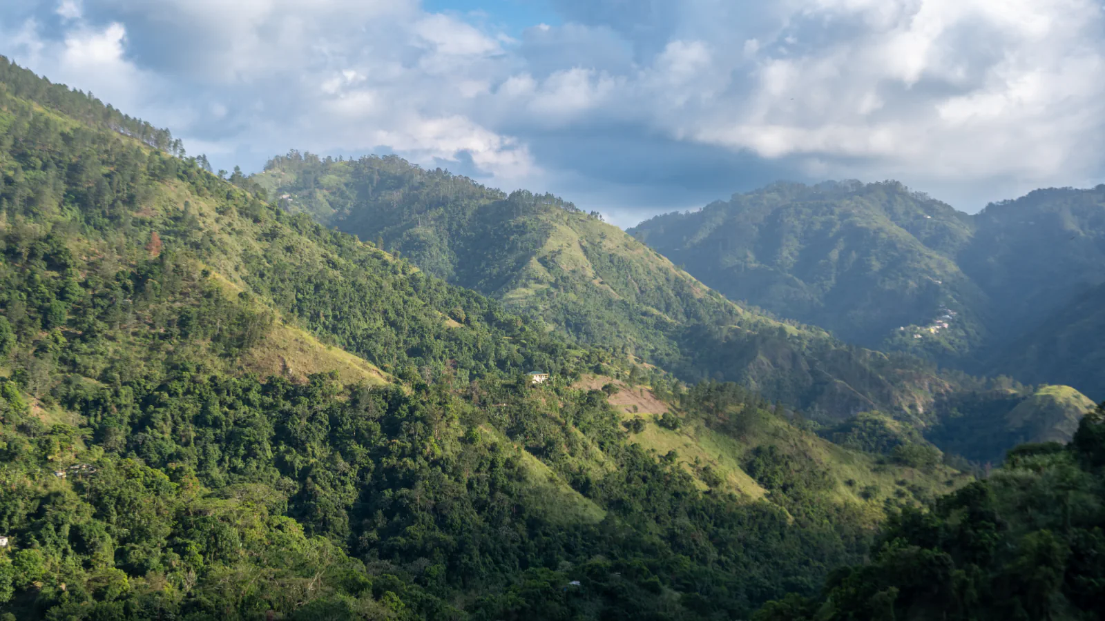 Zeleni gozdnati grebeni pogorja Blue Mountains na vzhodu Jamajke z nekaj majhnimi stavbami na pobočjih in belimi oblaki nad oddaljenimi vrhovi