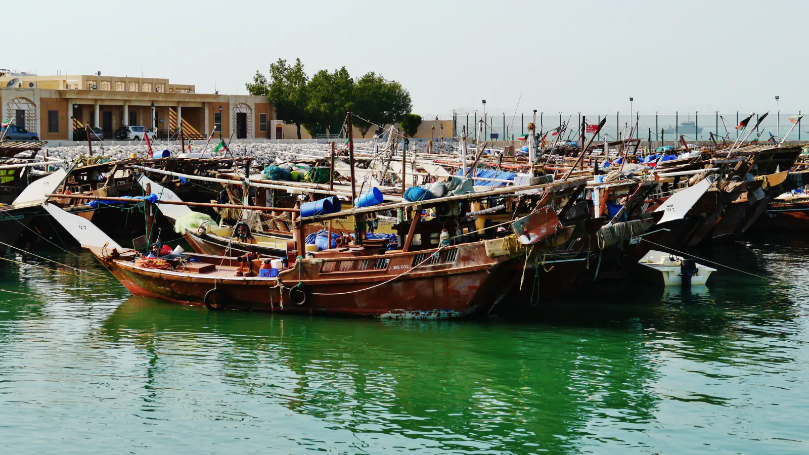 Weathered wooden dhows moored side by side in green harbour water, with a low sand-coloured building and trees behind.