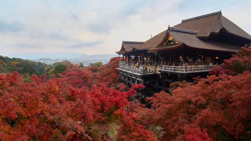 Kiyomizu-dera’s wooden Main Hall above autumn trees, with Kyoto beyond