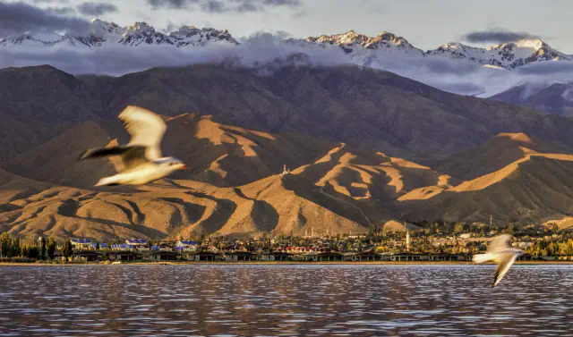 A lake in the foreground, two blurred gulls in flight, a low shoreline town beneath golden-lit brown mountain ridges, and snowy peaks wreathed in cloud.