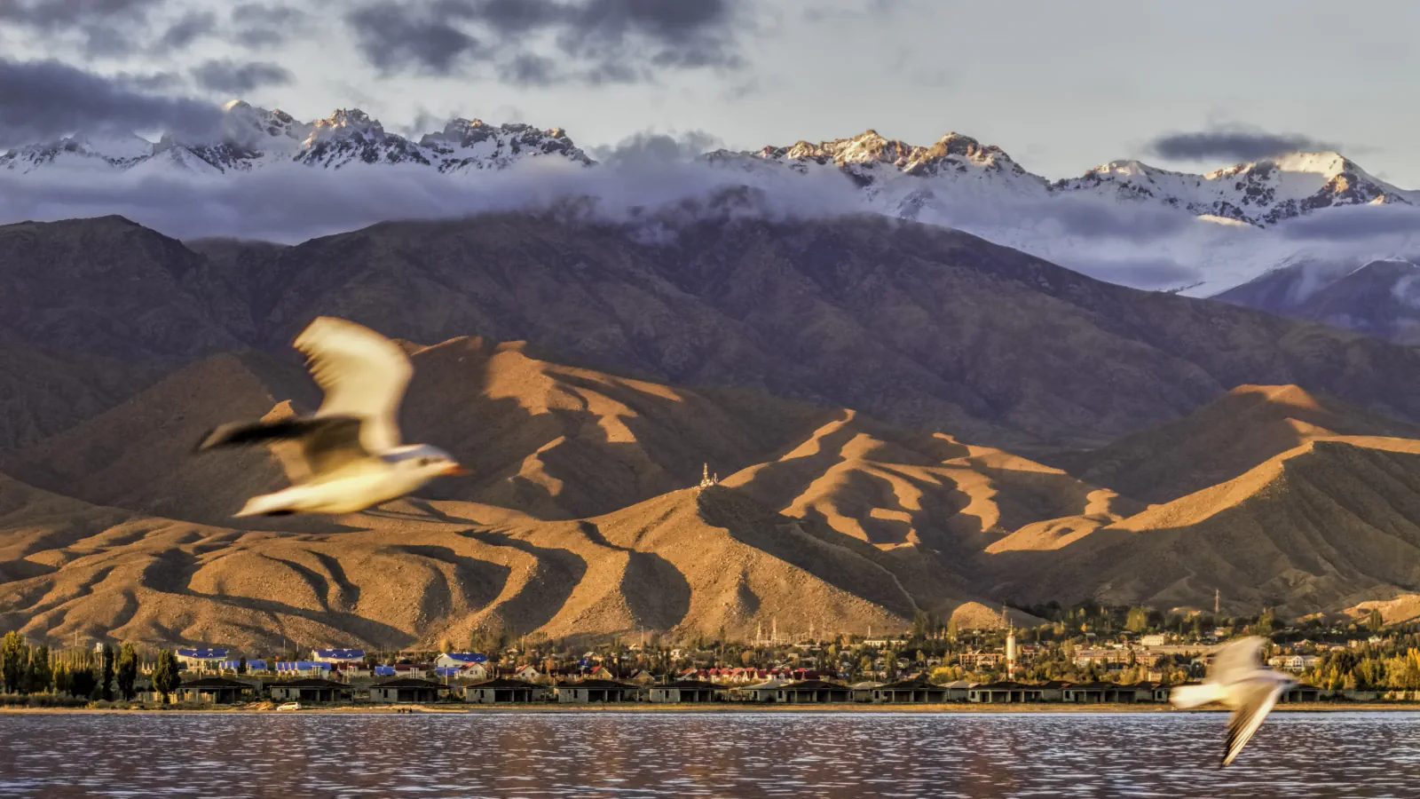 A lake in the foreground, two blurred gulls in flight, a low shoreline town beneath golden-lit brown mountain ridges, and snowy peaks wreathed in cloud.