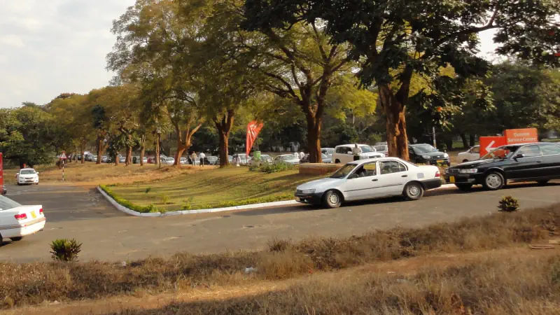 Traffic on a tree-lined road in Lilongwe