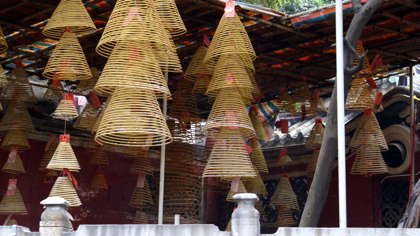 Rows of yellow spiral incense coils hanging under a roof of timber and tarpaulin, with red paper tags, a bare tree trunk and a red temple wall behind them