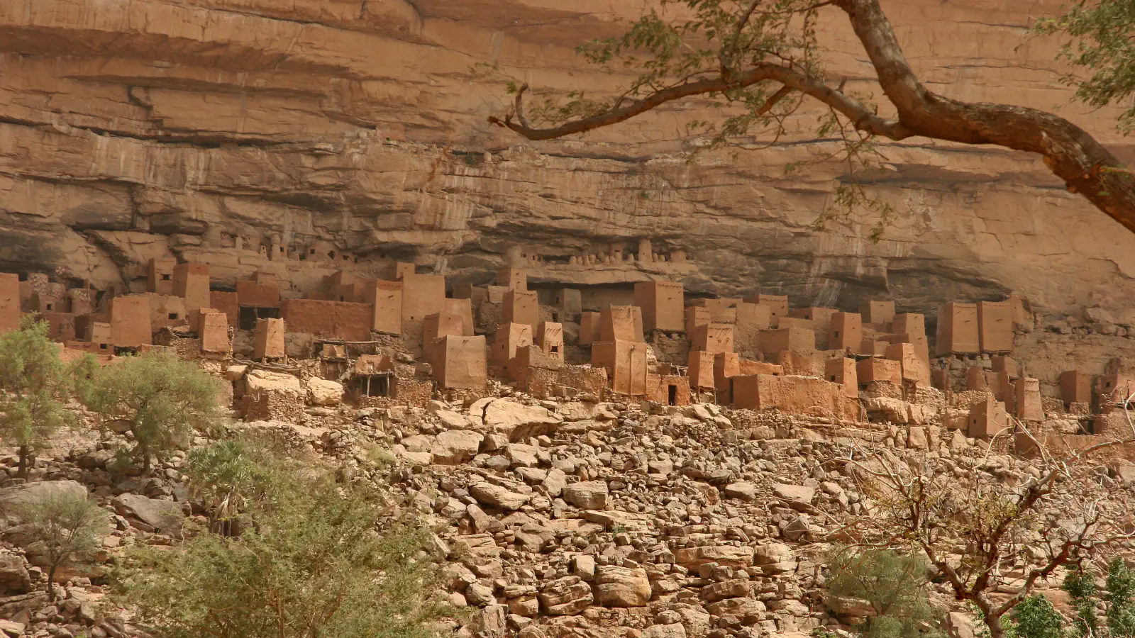Flat-roofed earth buildings standing in rows below a tall banded sandstone cliff, among boulders and small trees, with a bare branch across the top right