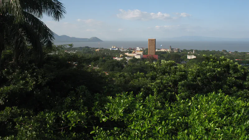 Treetops in the foreground, with Managua’s buildings, a tall brown tower and the lake on the horizon, and a hill at left