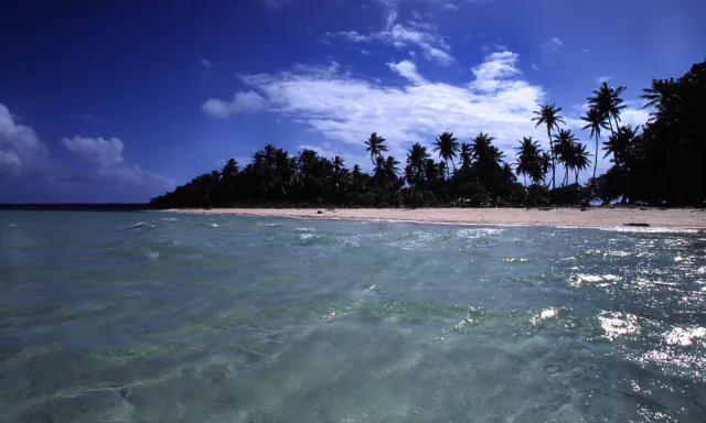 Clear shallow water in the foreground, a pale sand beach and a dense line of coconut palms against a deep blue sky with scattered white clouds