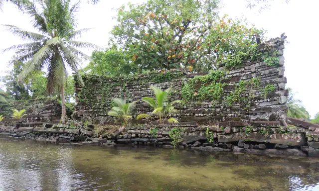 A weathered wall of stacked dark basalt stones rising from a shallow canal at Nan Madol, covered in places by vines, with palms and leafy trees behind it