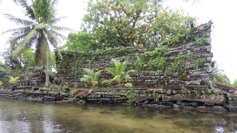 A weathered wall of stacked dark basalt stones rising from a shallow canal at Nan Madol, covered in places by vines, with palms and leafy trees behind it