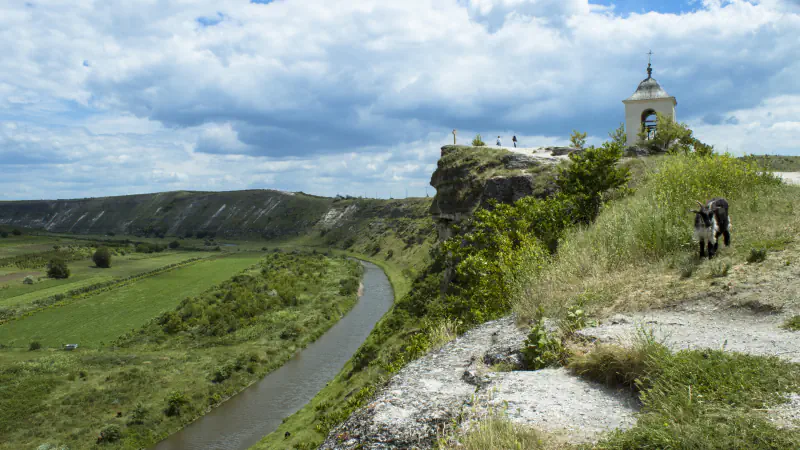 A narrow river winds through a green valley below pale limestone cliffs; on a rocky promontory at right stands a small white belfry with a cross under a cloudy blue sky, and a black-and-white goat stands on the grassy slope