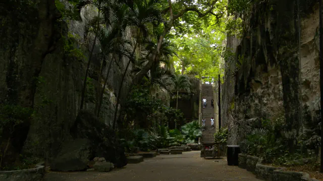 Long limestone staircase rising between rock walls and trees in Nassau