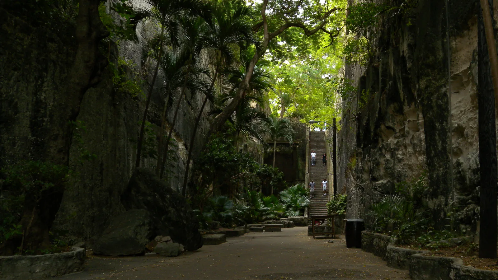 Long limestone staircase rising between rock walls and trees in Nassau