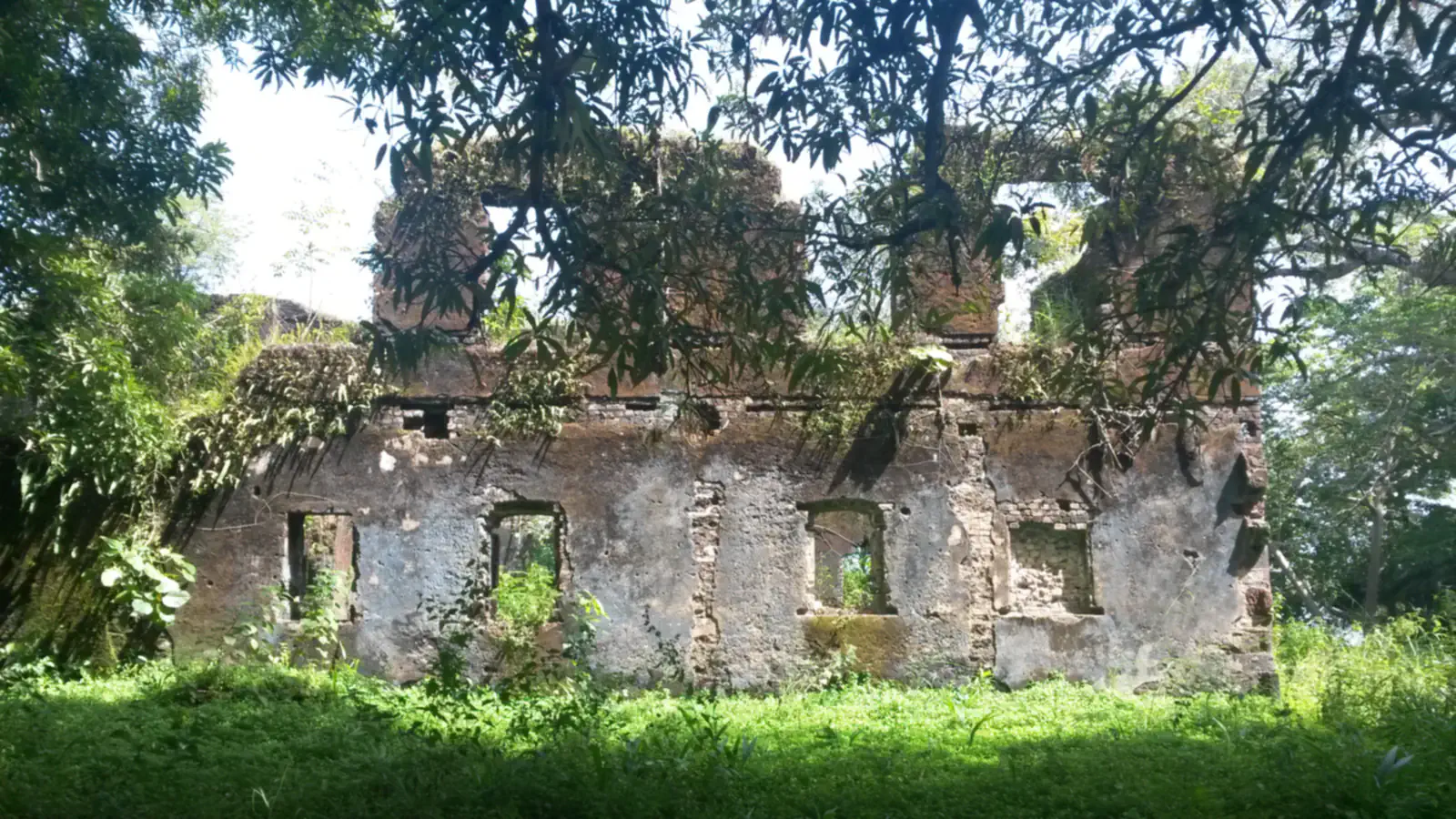 The roofless remains of a masonry building with patchy, weathered plaster and four window openings, framed by overhanging branches and bright green grass