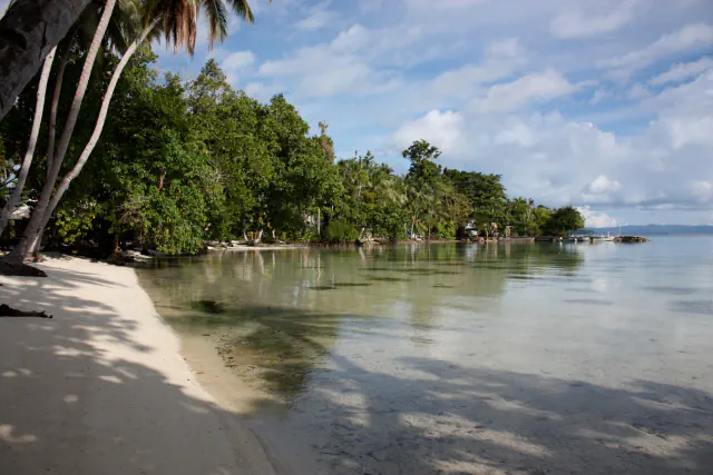 A white-sand beach shaded by leaning coconut palms and dense green trees on the left, calm clear shallow water on the right, a small jetty with boats in the distance and a bright sky with scattered clouds