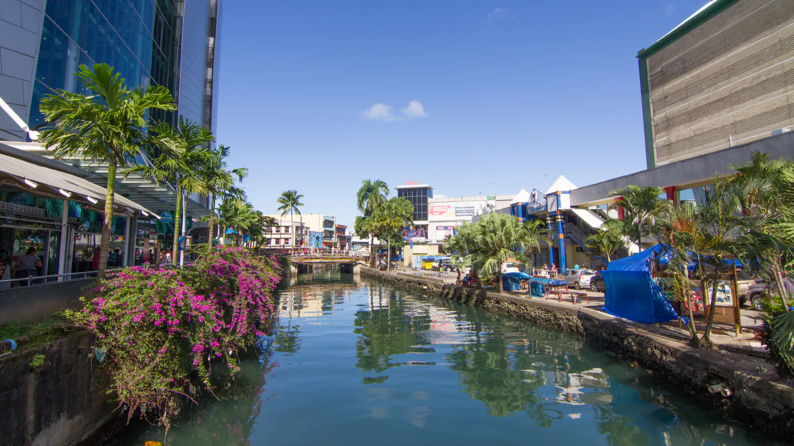 A water channel between shops and palm trees in Suva