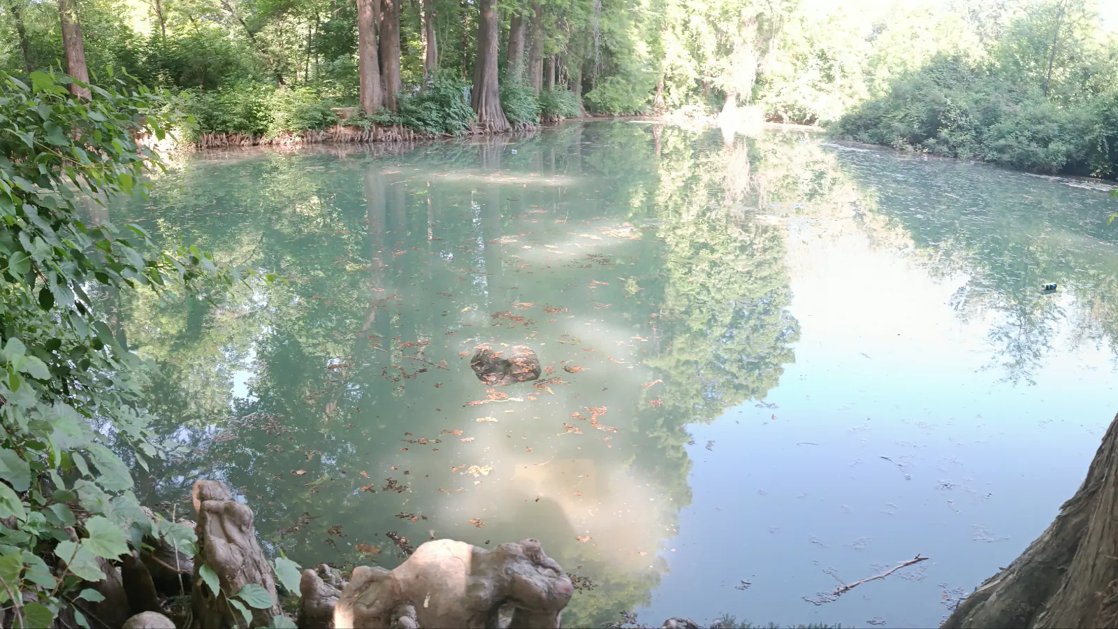 A pond surrounded by trees in Tashkent.