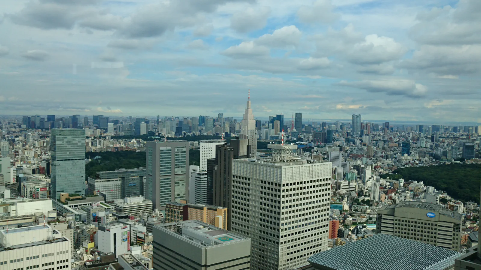 Tokyo skyline seen from the Tokyo Metropolitan Government Building